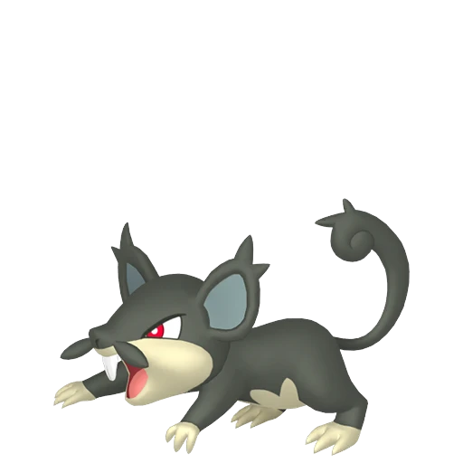 Alolan Rattata