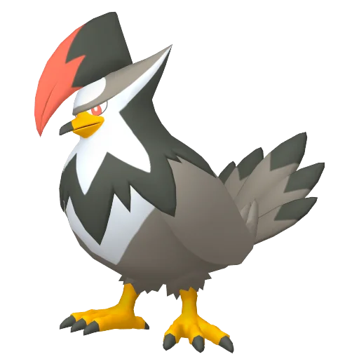Staraptor