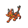 Torracat