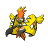 Tapu Koko
